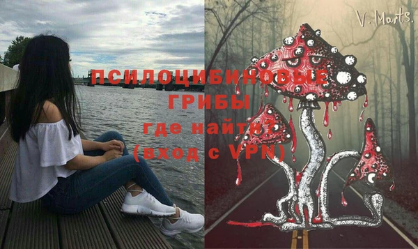 спайс Алексеевка