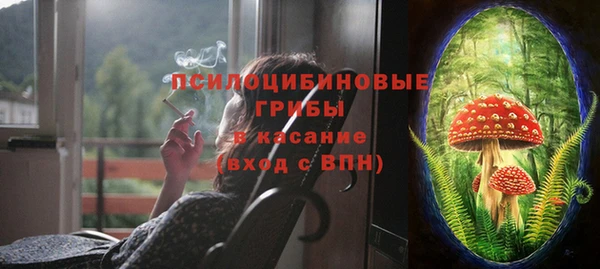 спайс Алексеевка