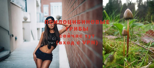 не бодяженный Алексин